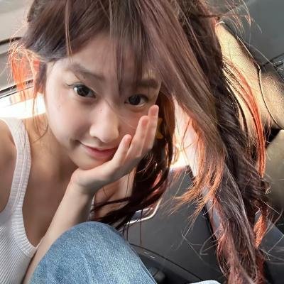 木材宝藏狗