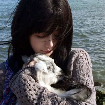 神捕铁飞花之冤冤相报